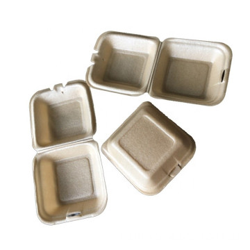 PLA Foam Take Away Food Packaging Lunch Box